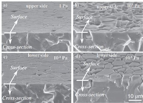 Sem Micrographs Of The Surfaces And Cross Sections Of Polycrystalline