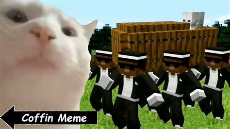 Coffin Meme But Cat Is Vibing In Minecraft Part 3 Youtube