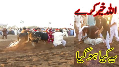 Jalsa Bail Karah Dangerous Bull Akhara Khra Akash Tv