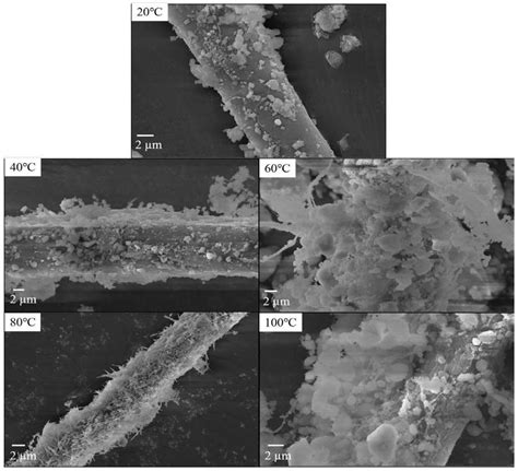 一种新型生物基 无机微纳米复合纤维材料及其制备方法和应用与流程