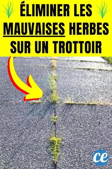 Comment Liminer Les Mauvaises Herbes Sur Un Trottoir Le D Sherbant