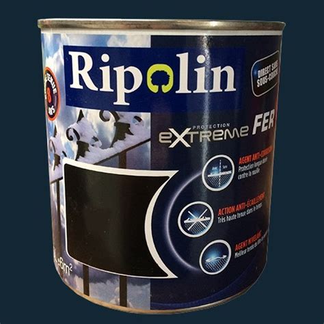 Ripolin Protection Extr Me Fer Gris Anthracite Ral Pas Cher En Ligne