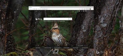 How To Get Bing S Daily Photos As Your Wallpaper On Windows