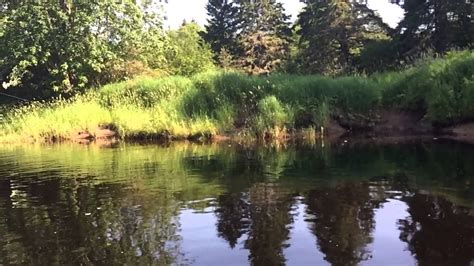 Canaan River Bass Youtube