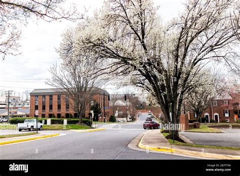 City of Fairfax, USA - March 10, 2020: Downtown area at University and Courthouse drive road ...