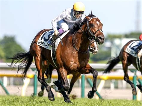 【京都記念出走馬・騎手確定】ドウデュースand武豊騎手、エフフォーリアand横山武史騎手など13頭 競馬ニュース Netkeiba