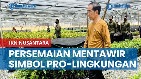 Tak Hanya Hutankan Ikn Nusantara Persemaian Mentawir Simbol Indonesia