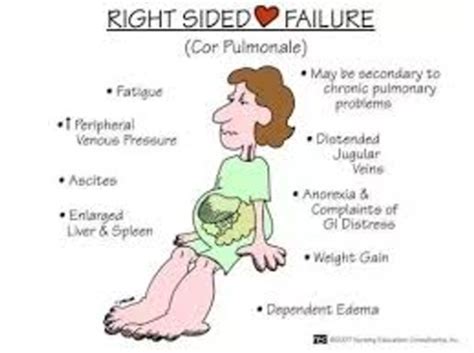 Altered Cardiac Output Heart Failure Flashcards Quizlet