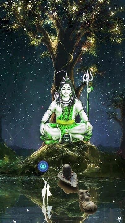 Om Namah Shivay🕉🔱🤗🙏🙏🙏🌹 🔱 Shorts Viralstatus Youtubeshorts Youtube