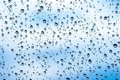 Download Transparent Water Droplets Wallpaper | Wallpapers.com