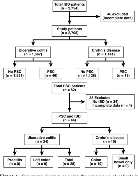 Figure 1 From Primary Sclerosing Cholangitis And Disease Distribution In Inflammatory Bowel