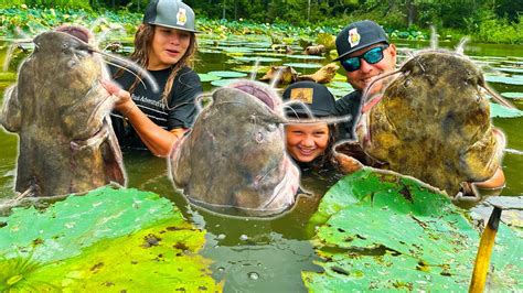 NOODLING GIANT CATFISH IN ILLINOIS YOU WON T BELIEVE THE SIZE OF THE