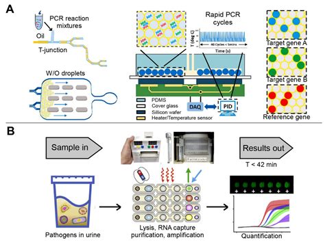 Biosensors Free Full Text Multiplex Detection Of Infectious