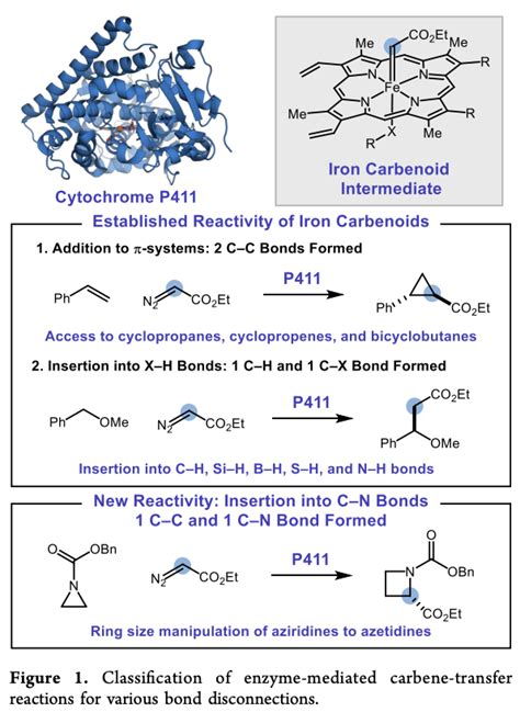 Enzyme Chemistry On Twitter Biocatalytic One Carbon Ring Expansion