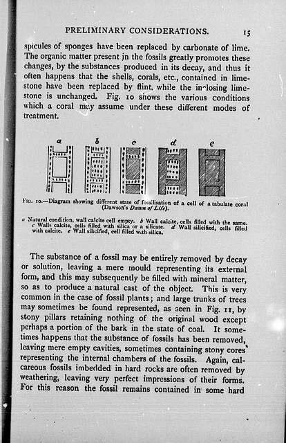 The Chain Of Life In Geological Time Bhl Picryl Public