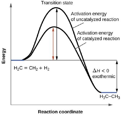 Exothermic Reaction With Catalyst