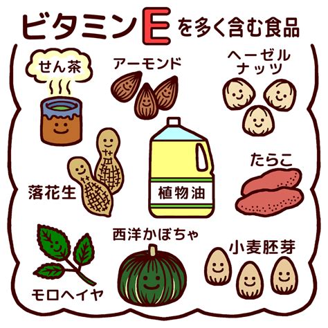 ビタミンeを多く含む食品カラー給食の無料イラスト生活学校素材