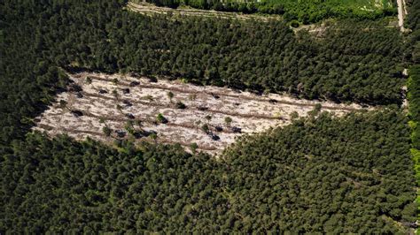 Combate à Grilagem de Terras na Amazônia O Papel do Poder Judiciário CPI