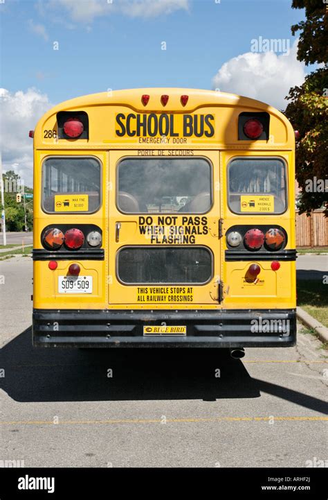 The back of a yellow Toronto school bus Stock Photo - Alamy