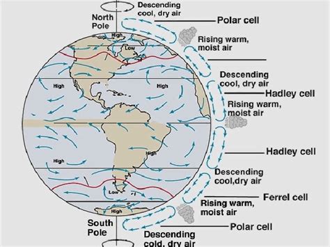 Remember Convection Cells CONVECTION CELLS IN THE ATMOSPHERE