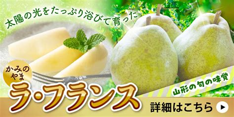 【楽天市場】【ふるさと納税】シュークリーム 【累計500万個突破！】 かみのやまシュー 選べる （6個／10個／20個／期間限定 ミニサイズ