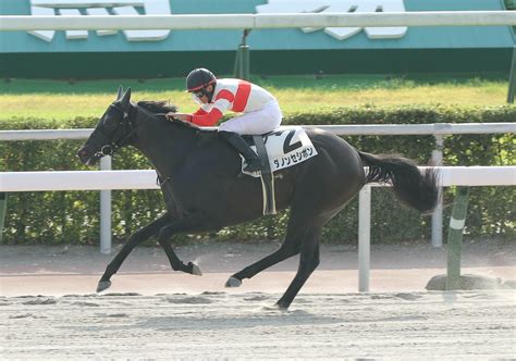 【勝羽の土曜競馬コラム・釜山s】 日刊ゲンダイ競馬