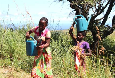 Sustainable livelihoods development for the gorongosa buffer zone communities, mozambique