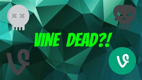 What Happened To Vine Youtube