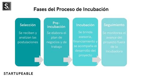 Qué es una incubadora de empresas y cómo funcionan Startupeable