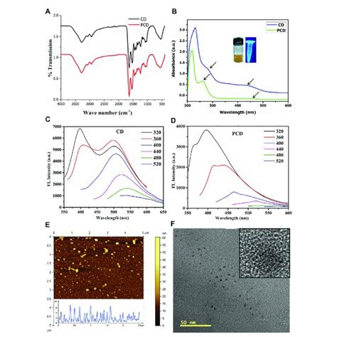 Physico Chemical Characterization Of Cd And Pcd A Ftir Spectroscopy