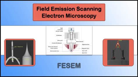 Field Emission Scanning Electron Microscope Khám Phá Công Nghệ Hiện