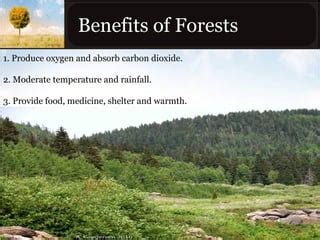 Forest & Bio-diversity management | PPT