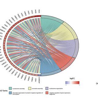 Identification And Enrichment Analysis Of Ith Related Genes In Coad