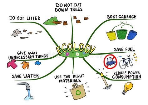 Mapa Mental Del Ambiente