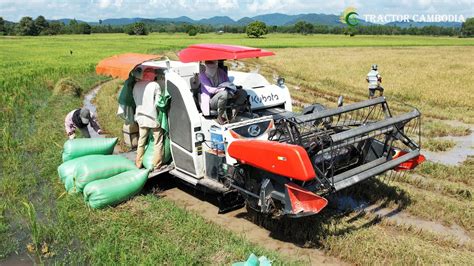 Kubota Harvester Working Skills Harvesting Rice Rice Cutting