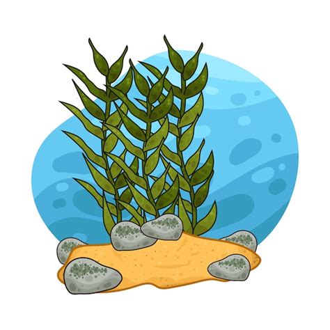 Premium Vector Seaweed