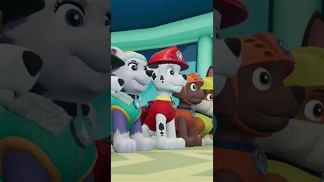 Paw Patrol On A Roll Shorts YouTube