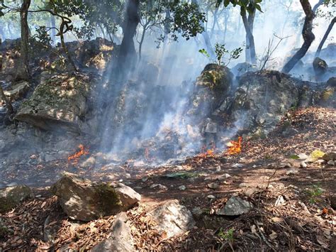 Devasta 5 Localidades Incendio En San Ciro De Acosta En SLP Noticias