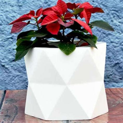 Gms White Fiberglass Frp Garden Outdoor And Indoor Hexagon Shape