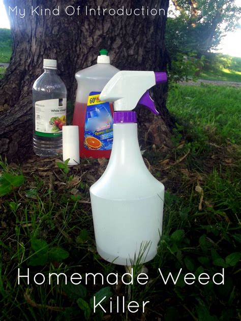 Make Your Own Weed Killer For Your Garden ∙ Click To Customize And Order ∙ Cleaning And