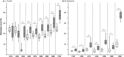 Effect Of 5 Aza Dc Treatment On Egfr Methylation Box Plots Of Egfr Cpg Download Scientific