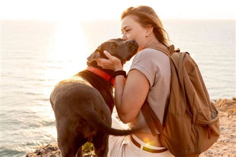 Viajar Con Mi Mascota Es Posible Tribus Viajeras