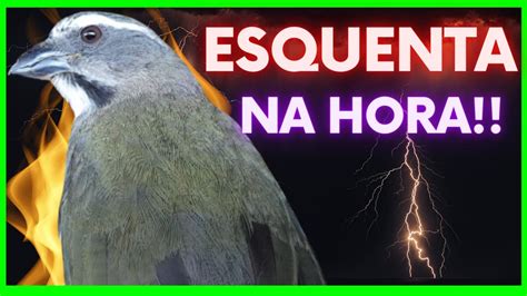 Esquenta Na Hora Esquentar Trinca Ferro Trinca Ferro Youtube