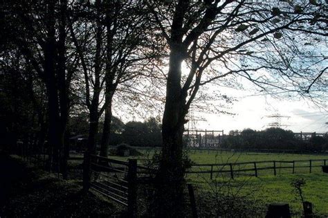 Smallholdings Near Lovedean Martyn Pattison Cc By Sa 2 0 Geograph