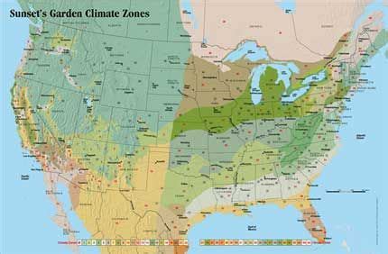 Tomato Growing Zone Maps At Tomatofest Growing Zones Map Plant