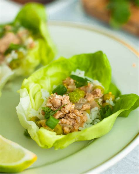 Asian Turkey Lettuce Wraps Seasoned By Silvie