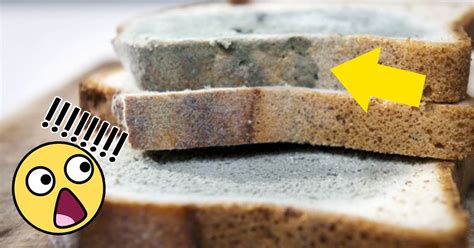 4 Alimentos que puedes tomar aunque tengan algo de moho y 8 que nunca ...