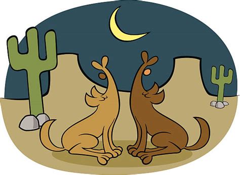 Cartoon Of The Coyote Howling At Moon Illustrations Royalty Free