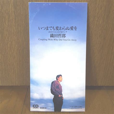 8cmcd 織田哲郎 いつま も変わらぬ愛を ポカリスエットcmソング カラオケ入り Why Did You Go Away 8cmビーイング 亜蘭知子 織田哲郎 ｜売買されたオークション情報