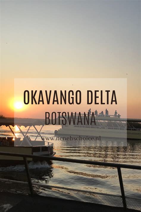 Okavango Delta In Botswana De Beste Tips Voor Een Safari